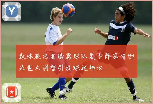 森林狼记者透露球队夏季阵容将迎来重大调整引发球迷热议