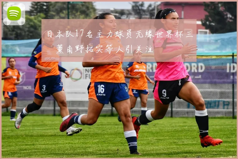 日本队17名主力球员无缘世界杯三笘薰南野拓实等人引关注